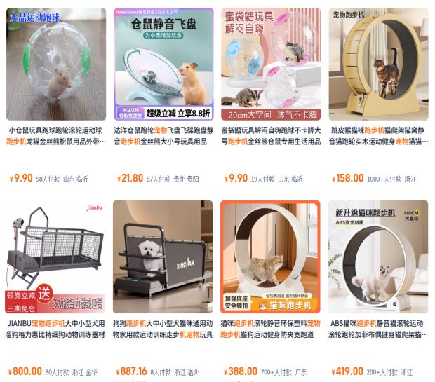 Bsports必一比人还自律？宠物“霸占”瑜伽馆、泅水池连专属健身房都有！(图5)